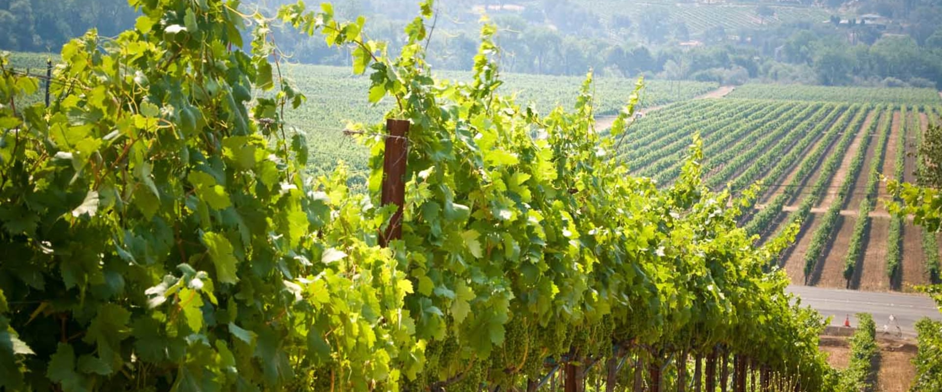 How much does a napa valley wine tour cost?