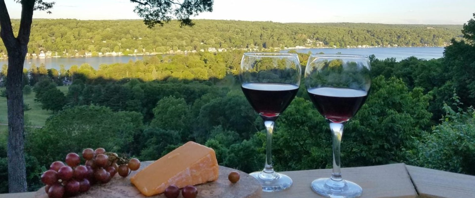 What wine is finger lakes known for?