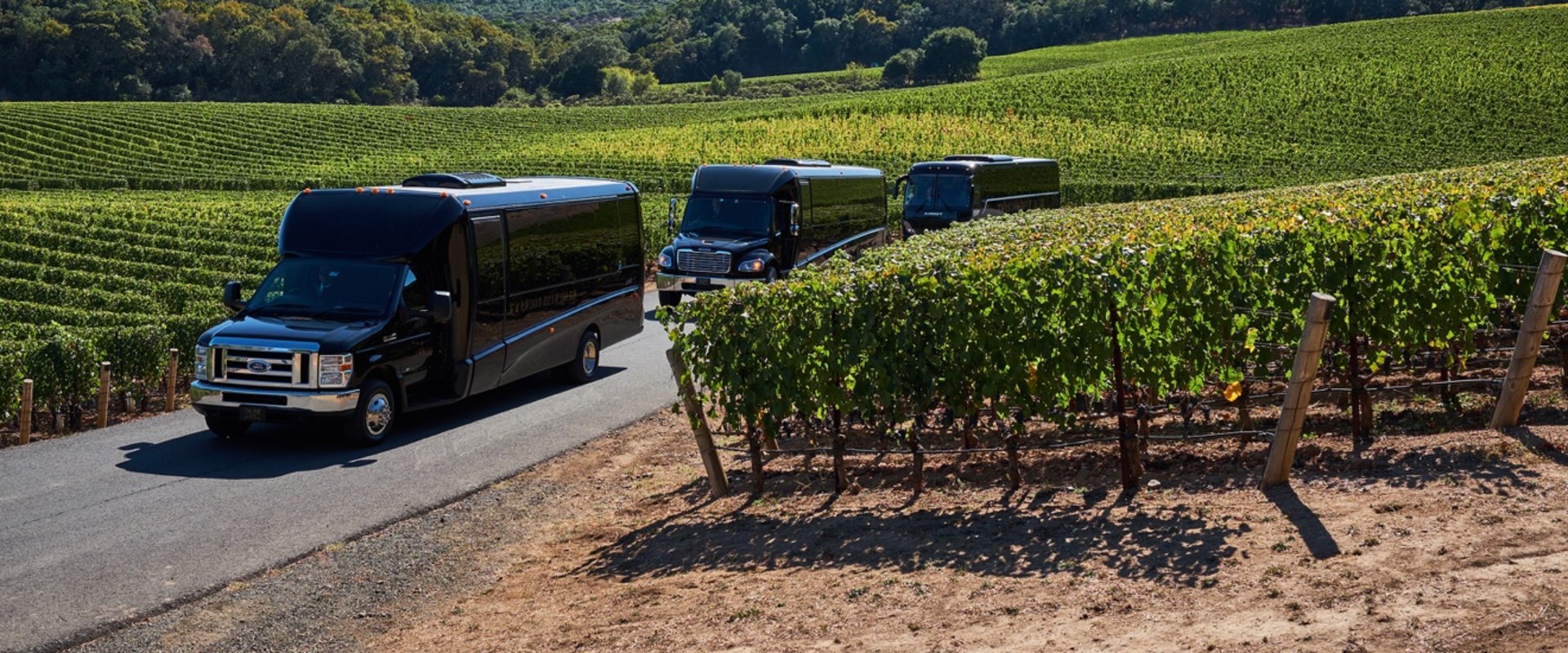 What are wine tasting tours?