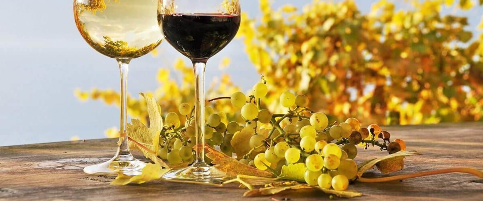 How does a wine tour work?
