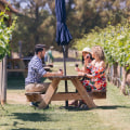 Uncork the Experience: A Beginner’s Guide to Wine Tours
