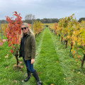 Wine Tours 101: Tips for a Smooth and Enjoyable Experience