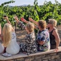 Group Wine Tours: Making the Journey as Enjoyable as the Destination