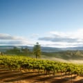Vineyard Views Without Vehicle Blues: Car Care Tips For Santa Rosa Wine Tours