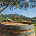 Wine Tours That Combine Tastings With Outdoor Exploration