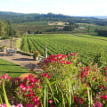 Elevate Your Weekend With Wine Tours Across Portland’s Premier Wineries