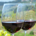 The Top Benefits of Joining Guided Wine Tours With Experts