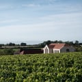 Uncork the Experience: Top Wine Tour Destinations to Visit This Year