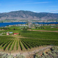 Pairing Lakeside Living With Vineyards: Boat Docks For Sale And Wine Tours In British Columbia