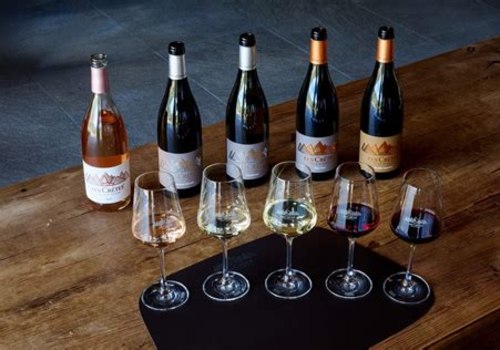 The Modern Wine Tour Experience: Convenience Meets Indulgence