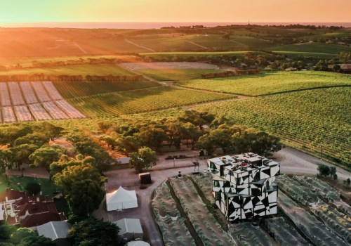 Savor the Journey: Exploring Vineyards Through Guided Wine Tours