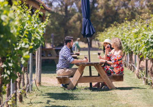 Uncork the Experience: A Beginner’s Guide to Wine Tours