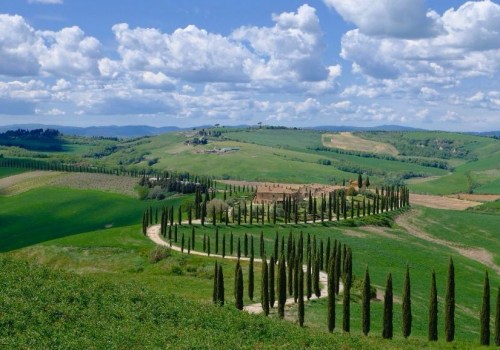Savor the Journey: A Taste of Elegance on Scenic Wine Tours
