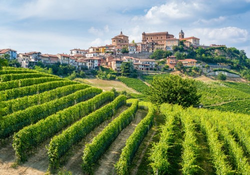 Tasting Your Way Through the Countryside: The Allure of Scenic Wine Tours