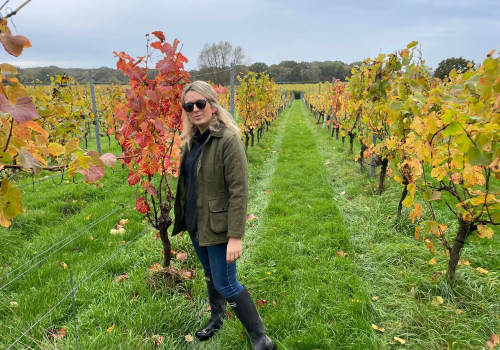 Wine Tours 101: Tips for a Smooth and Enjoyable Experience
