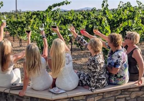 Group Wine Tours: Making the Journey as Enjoyable as the Destination