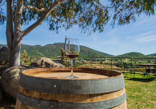Wine Tours That Combine Tastings With Outdoor Exploration
