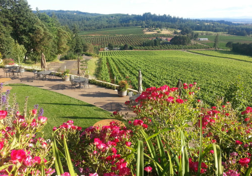 Elevate Your Weekend With Wine Tours Across Portland’s Premier Wineries