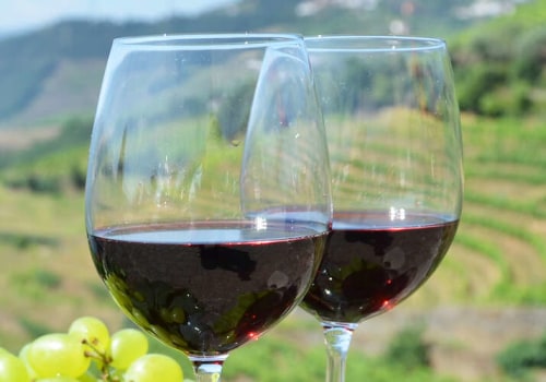 The Top Benefits of Joining Guided Wine Tours With Experts