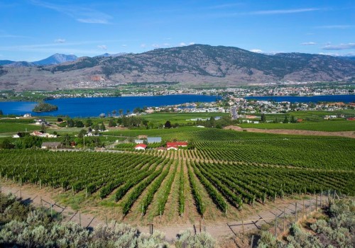 Pairing Lakeside Living With Vineyards: Boat Docks For Sale And Wine Tours In British Columbia
