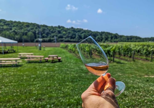 Wine Tours vs. Self-Guided Tastings: Which Experience Is Better?